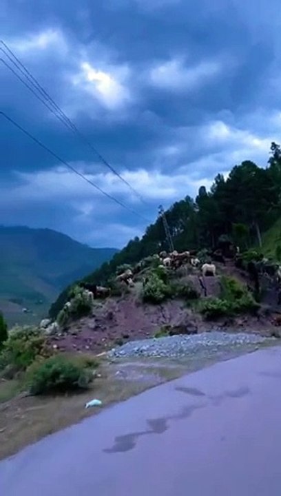 Beauty of Kashmir #kkwbeauty #foryou #kashmir #nature #forupage #kashmiribeauty #kashmirbeauty #new