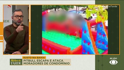 Pitbull escapa e ataca moradores de condomínio na Bahia