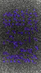 lv_7274476507823623426_20240703191030