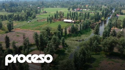 El futbol llanero devora las chinampas de Xochimilco