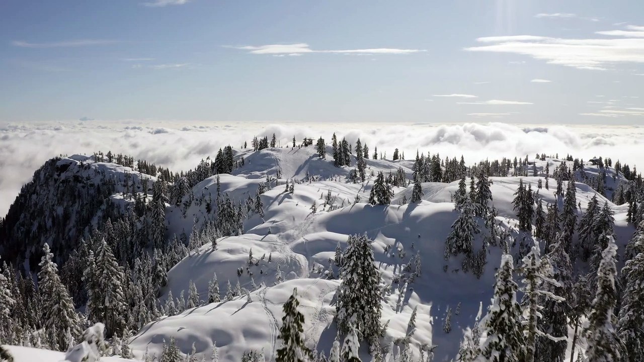 The Beauty of Snow: A Mesmerizing 20-Second Winter Wonderland