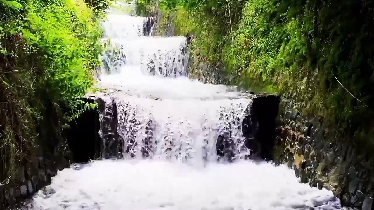 Beautiful nature relaxation film 