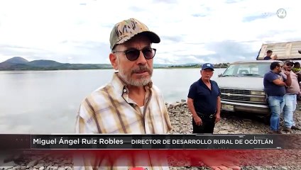 Liberan 300 mil alevines de tilapia en el Lago de Chapala