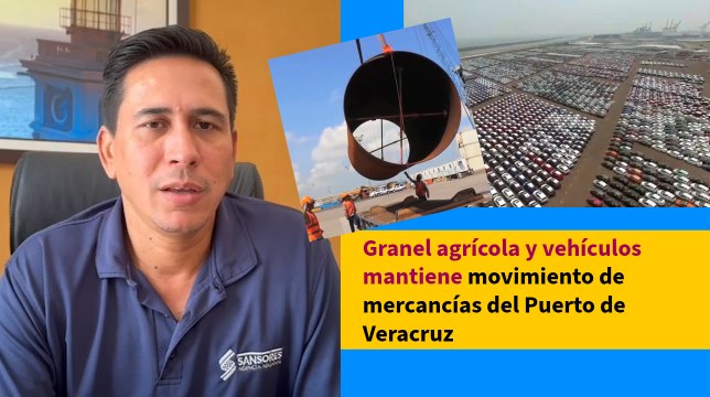 Granel agrícola y vehículos mantiene movimiento de mercancías del Puerto de Veracruz