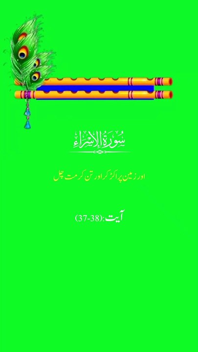 daily ayaat |daily islam|daily dua,|daily islamic knowledge|daily quran