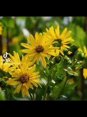 2024-07-15-192345115