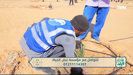 جهود مؤسسة "نبض الحياة" في أعمال الخير