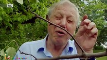 Attenborough 60 Years in the Wild ep 2 เข้าใจธรรมชาติ