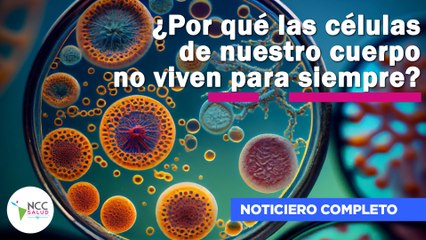 ¿Por qué las células de nuestro cuerpo no viven para siempre? | 206 | 15 al 21 de julio de 2024