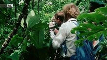 Attenborough 60 Years in the Wild ep 1 ชีวิตบนกล้อง