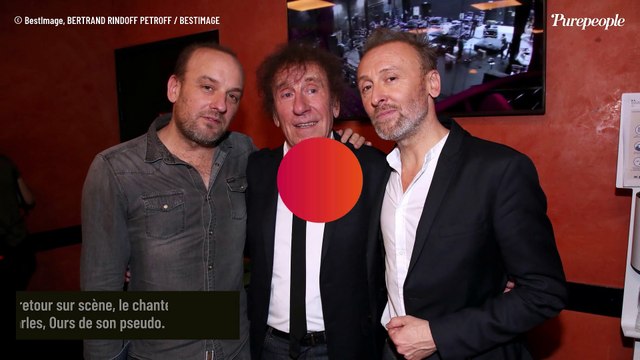 Alain Souchon, son fils Pierre très honnête : à 95% les gens viennent pour notre père