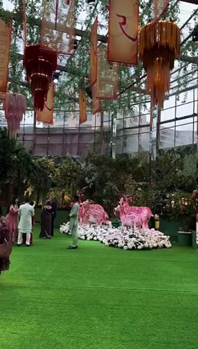 Radhika_Anant_Wedding_Venue_Theme