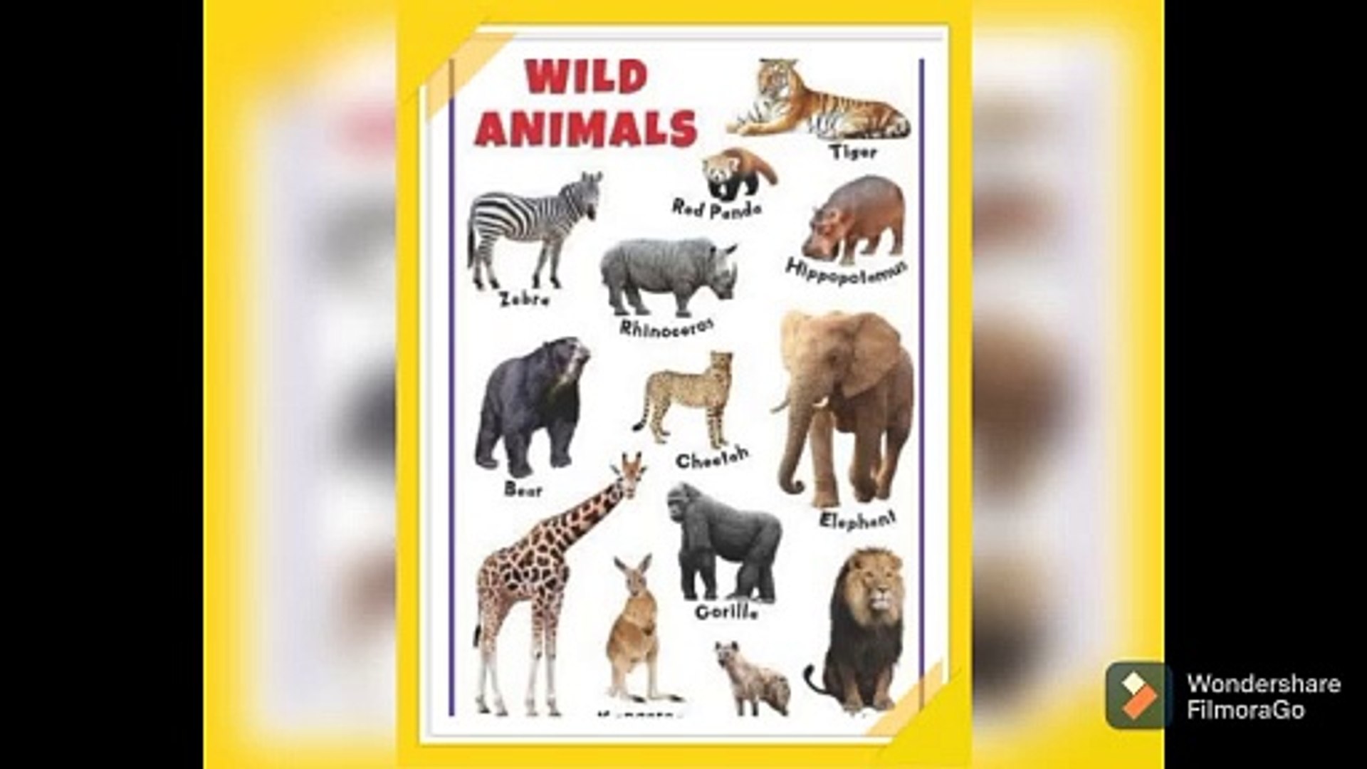⁣WILD ANIMALS, LOVE TO ANIMALS