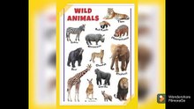 WILD ANIMALS, LOVE TO ANIMALS