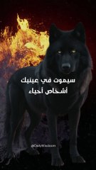 حكمة اليوم : العبرة ليست في كثرة من حولك