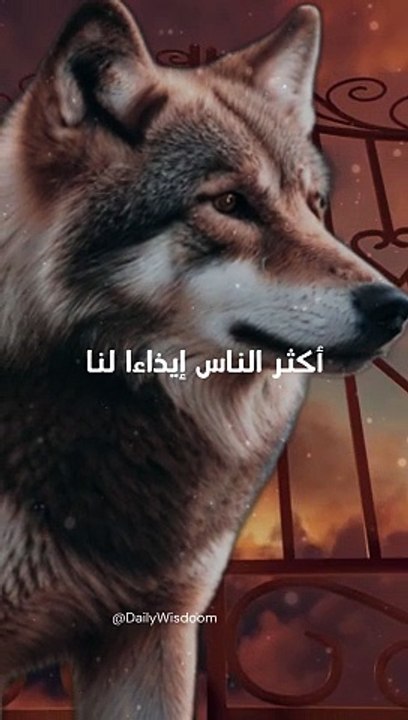 ذئب شرس أمامك خير من كلب خائن وراء ظهرك