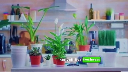 Eco Friendly Home: Top Tip For a Cleaner Environment