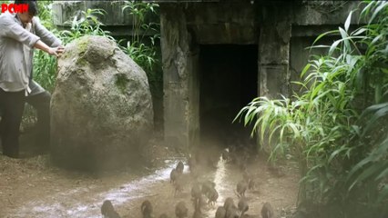 Chuột khổng lồ xâm chiếm trái đất và cái kết - Review phim hay - PHIM CHO MỌI NHÀ