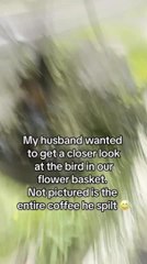 Man Drops Camera While Filming Bird Nesting on Porch