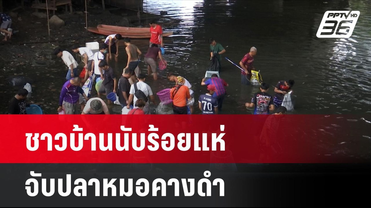ชาวบ้านนับร้อยแห่จับปลาหมอคางดำโผล่กลางบึงมักกะ...