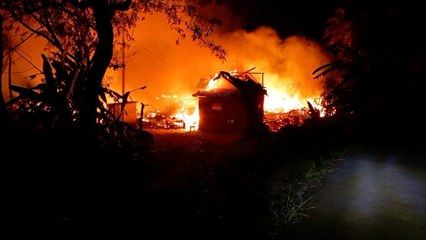 Kandang Ayam di Kuningan Ludes Terbakar, 25 Ribu Ekor Ayam Terpanggang