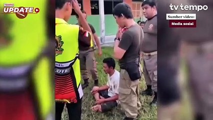 Polda Kalsel Musnahkan Kecubung yang Dianggap Berefek Negatif Jika Dikonsumsi