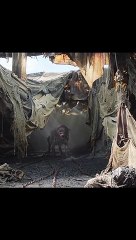 Top Epic Fight Scenes in Hollywood Movies 🎬