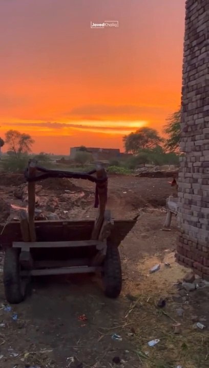 Evening scene of my  village vlog