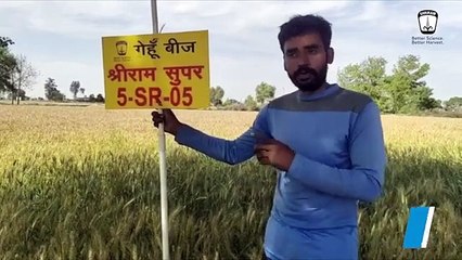 Shriram Super 5-SR-05 Wheat: Triumph in Sonipat, Haryana
