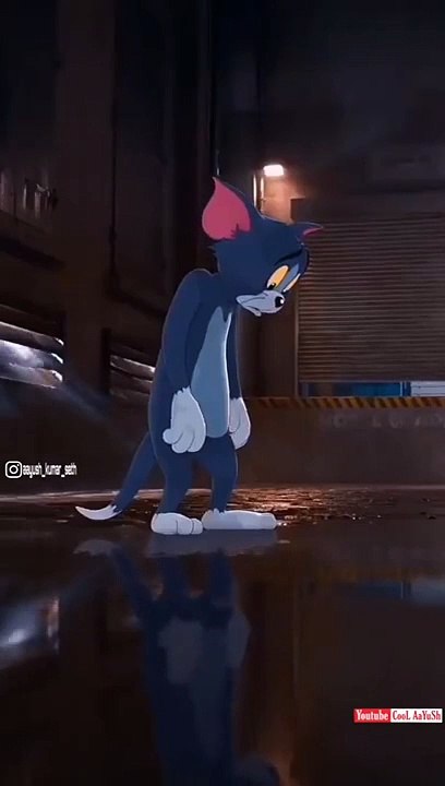 Tom Love Jerry