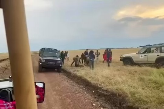 Chaque #homme cache en lui un #enfant qui veut #jouer. Sauf que le #jeu devient beaucoup plus #dangereux comme ici avec un #lion en #Afrique lors d’un #Safari