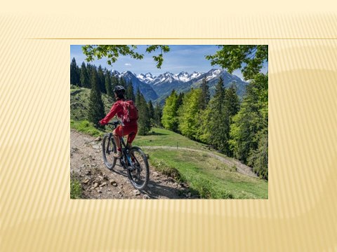 Hong Chong Yi - Conquer Any Terrain with Mastering Mountain Biking for Wilderness Exploration