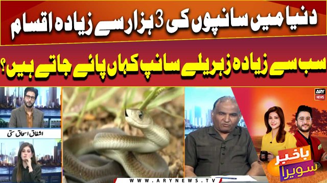 More than 3,000 species of snakes are known worldwide | World Snake Day