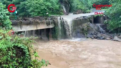 Profesör uyardı Çay bahçelerinde 'pasif drenaj' heyelanları tetikliyor