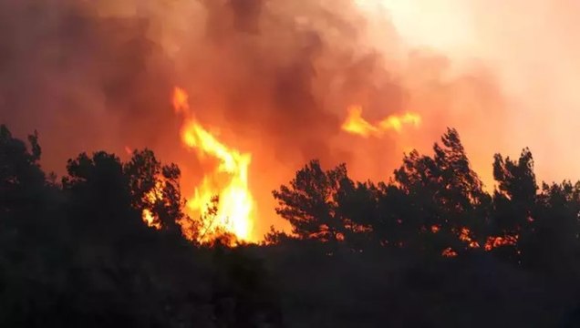 Manisa'nın Soma ilçesindeki orman yangını ikinci gününde