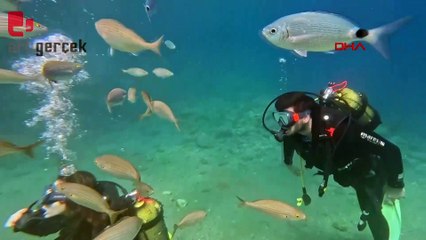 Su altı tutkunları Saros Körfezi'nde tarihe dalıyorlar