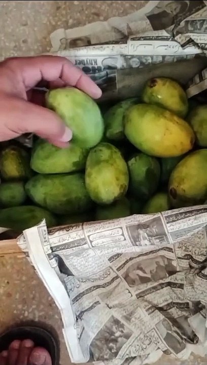 Mango