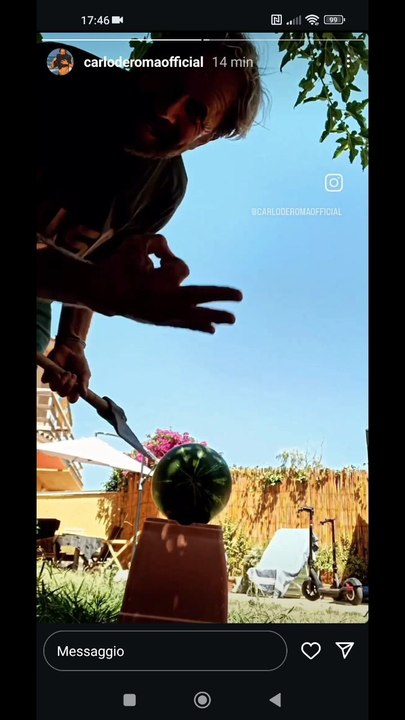 prova cocomero