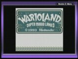 ingame Super Mario Land 3 : Wario Land