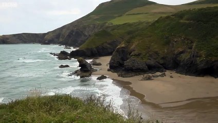 Pollution incident closes Llangrannog's Blue Flag beach