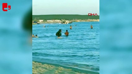 Serinlemek için atıyla birlikte denize girdi