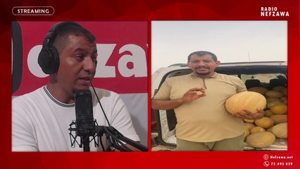 تجربة المهندس الفلاحي الڨدري بنعون في زراعة البطيخ الطبيعي