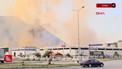 Aydın 'da kağıt fabrikasındaki yangın 5'inci gününde