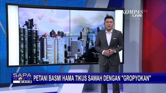 Petani di Jember Basmi Hama Tikus dengan 'Gropyokan'
