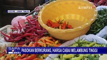 Stok Sedikit, Harga Minyak Goreng Subsidi Minyakita Semakin Tinggi
