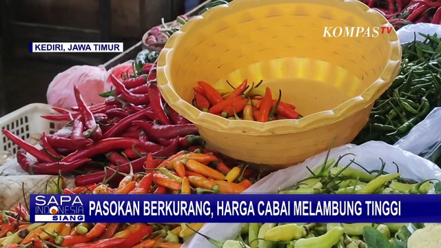 Stok Sedikit, Harga Minyak Goreng Subsidi Minyakita Semakin Tinggi