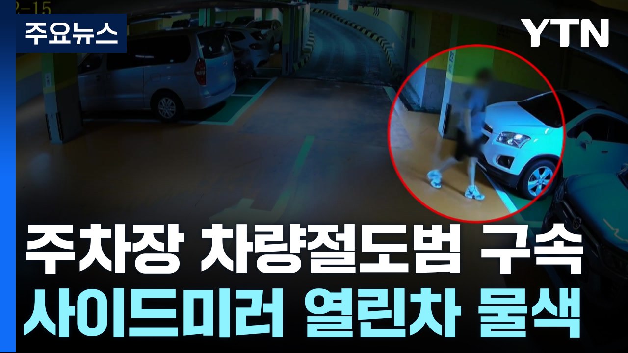 "차 훔쳐 번호판 교체...사이드미러 안 접힌 차 노려" / YTN