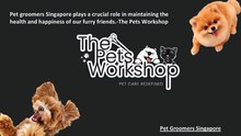 Pet groomers Singapore plays a crucial role in maintaining the health and happiness of our furry friends.-The Pets Workshop