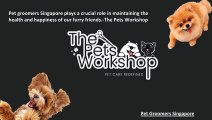 Pet groomers Singapore plays a crucial role in maintaining the health and happiness of our furry friends.-The Pets Workshop