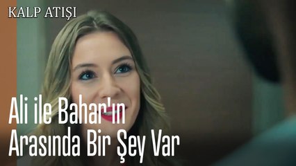 Ali ile Bahar'ın Arasında Bir Şey Var